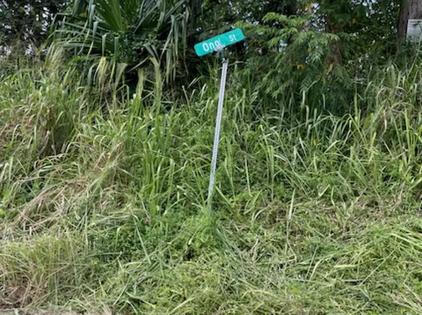 Ono St Lot 1506, Pahoa, HI 96778