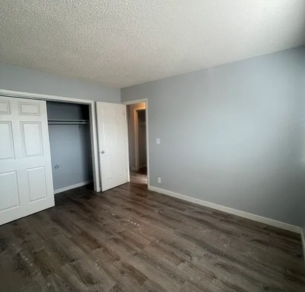 2229 Collyer St #3 — Photo 4