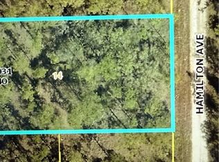 1407 Hamilton Ave, Lehigh Acres, FL 33972