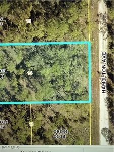 1407 Hamilton Ave, Lehigh Acres, FL, 33972