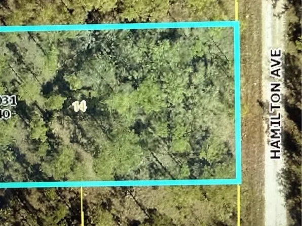 1403 Hamilton Ave, Lehigh Acres, FL 33972