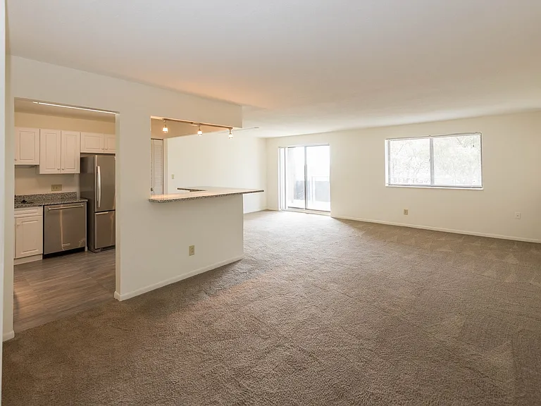 Chestnut Hill South — Photo 19