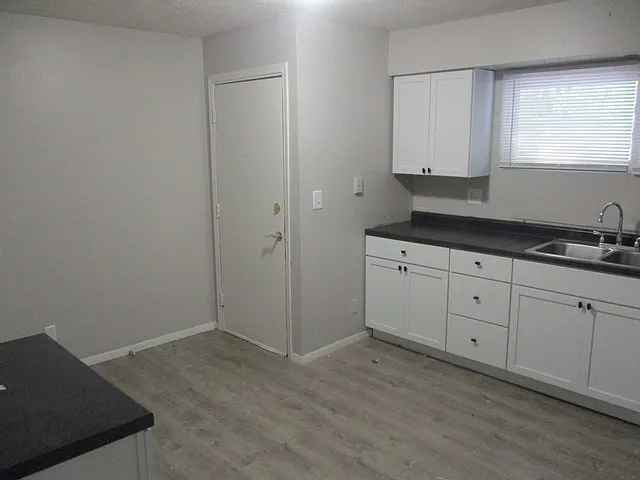 1008 Charlotte Dr — Photo 3