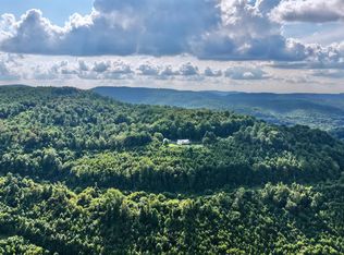 1061 Peaser Rd, Leivasy, WV 26676