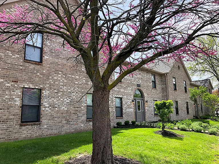 Ashley Oaks Apartments — Photo 32
