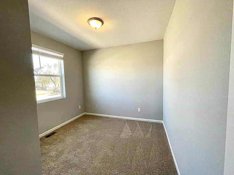 1733 Dancing Cattail Dr — Photo 21