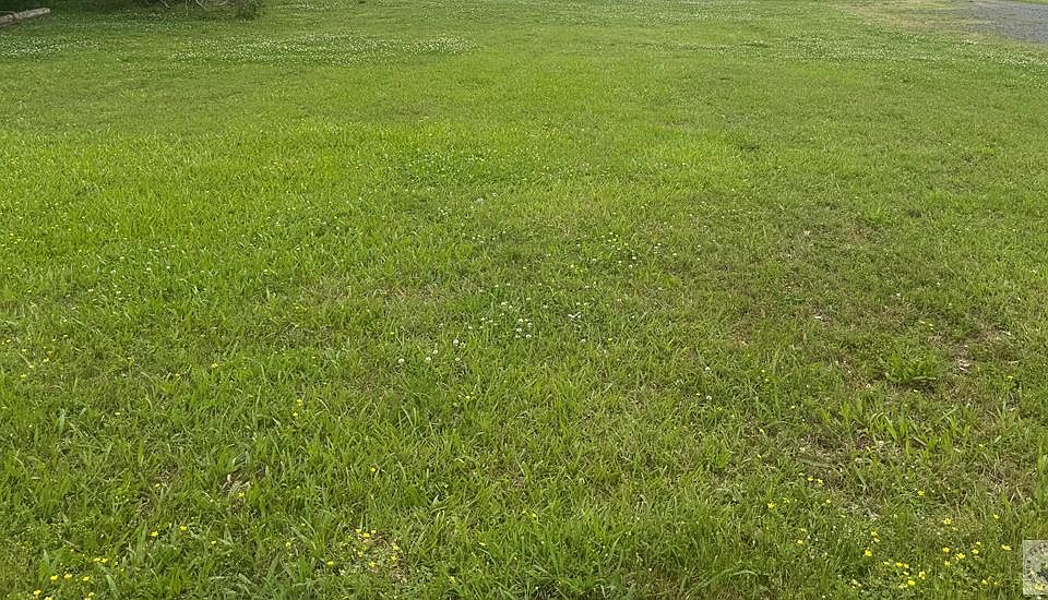 1st image of Odom St