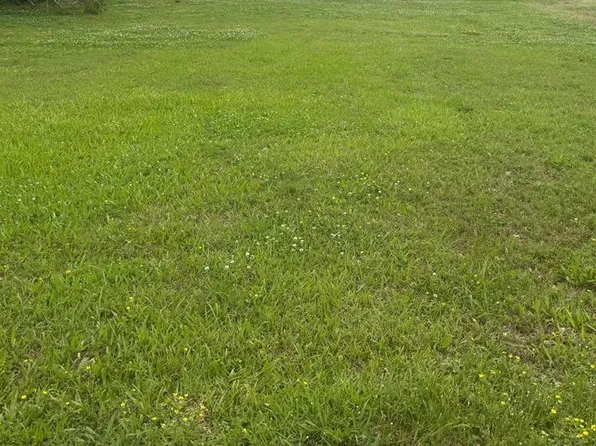 Odom St, Hooks, TX 75561