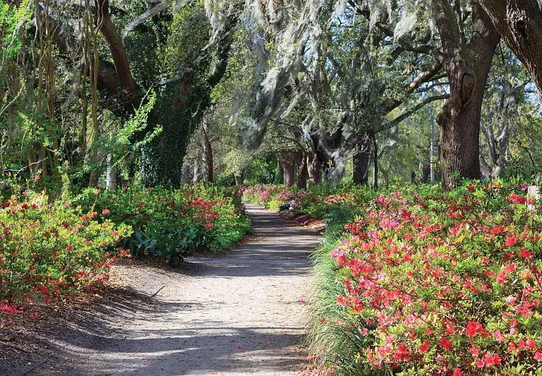 Hampton Park (5 min walk)