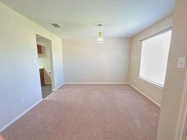 1000 Bluff Meadow Cv — Photo 3