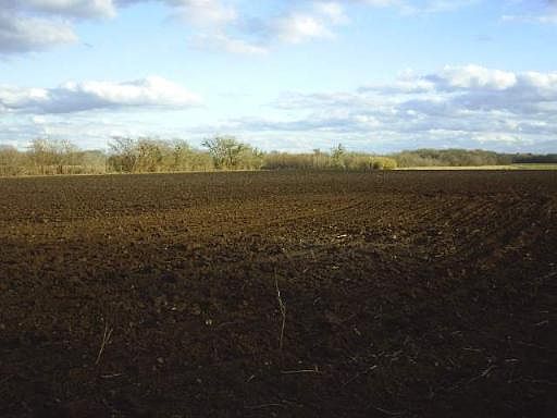 4th image of 55 ACRES CR 352