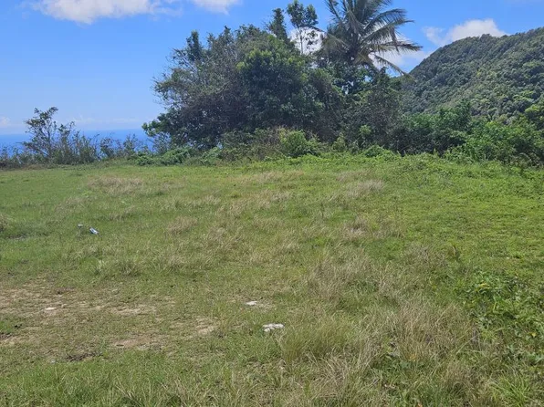 Bo Palmas Carr 15 Km #11.1, Guayama, PR 00784