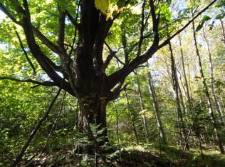 Castle Rd, Medford, WI 54451