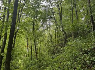 0 Chestnut Cove Rd, Sylva, NC 28779