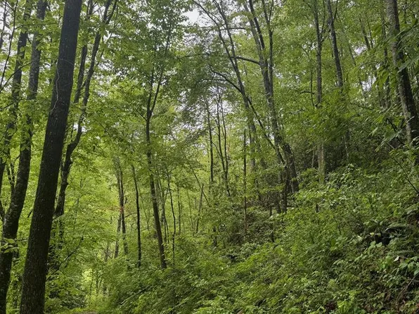 0 Chestnut Cove Rd, Sylva, NC 28779