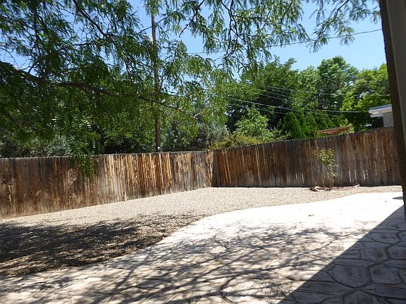 Back yard