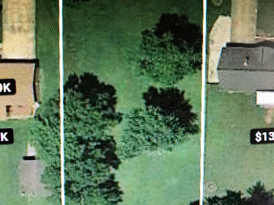 2nd image of Ridgewood Dr SW