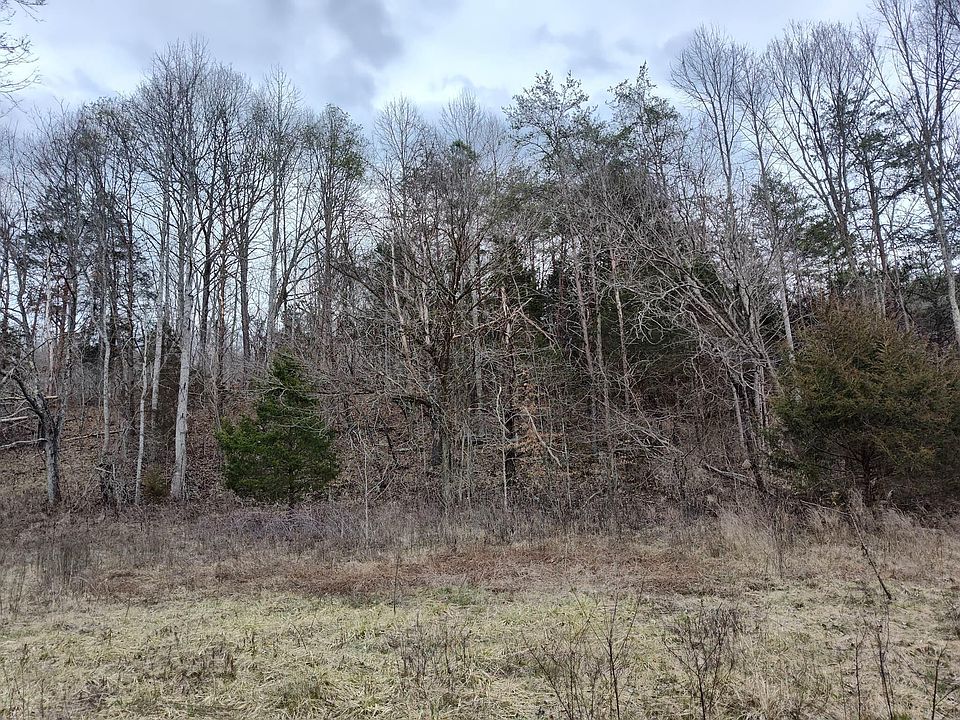 Tbd Hickory Cove Rd, Surgoinsville, TN 37873 MLS 9948524 Zillow