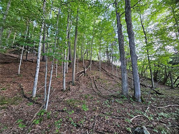 5th image of Old State Rd #11