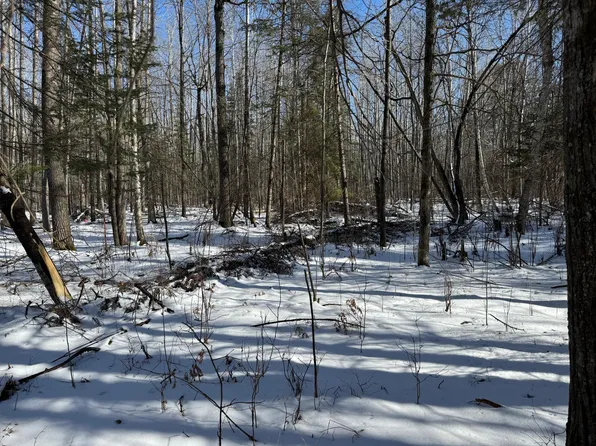 McKeown Lake Rd NW, Hackensack, MN 56452