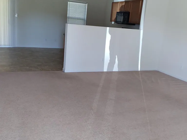 195 Sagebrook Dr — Photo 5