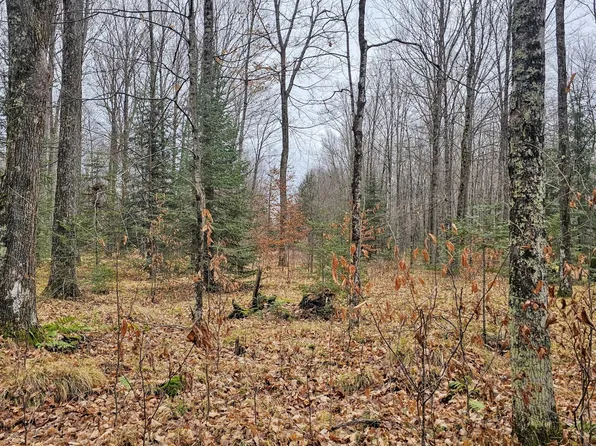 Ferch Rd, Rhinelander, WI 54501