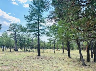 3266 N Durango Dr #5, Happy Jack, AZ 86024