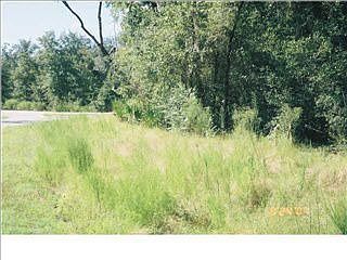 2nd image of 9711 Summer Creek Dr