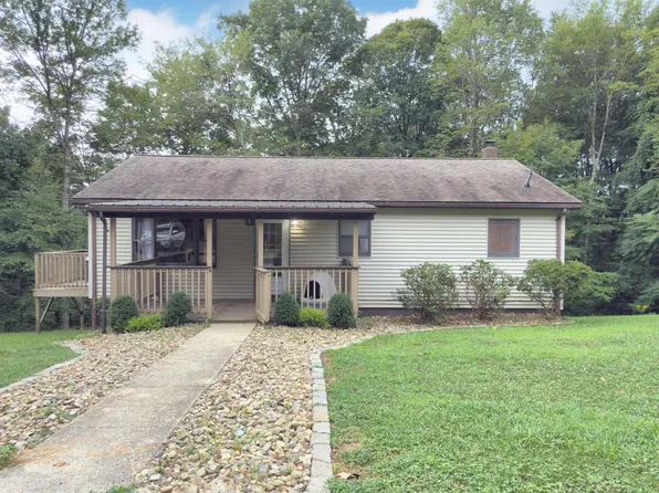 1141 Plum Run Rd, Grafton, WV 26354