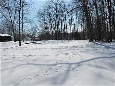 2nd image of 29285 Willow Ln