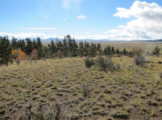 206 Bandolier Court, Hartsel, CO 80449