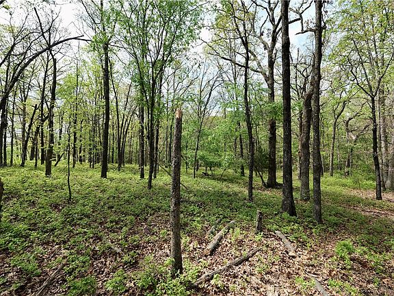 2nd image of Hummingbird Rd #23