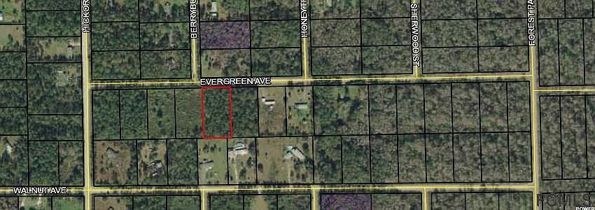 2nd image of 4313 Evergreen Ave