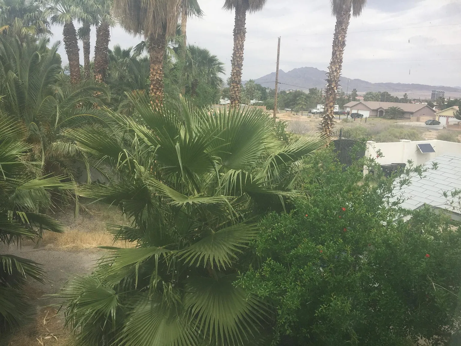 Sunflower Ave, Las Vegas — Photo 2