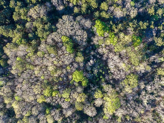 4th image of 0 Farm To Market Rd #747