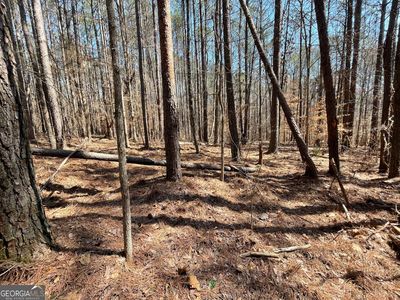 0 Joe Cook Rd #3, Franklin, GA, 30217