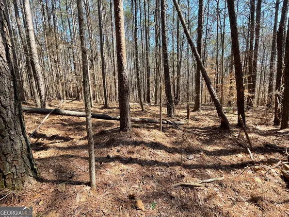 0 Joe Cook Rd #3, Franklin, GA 30217