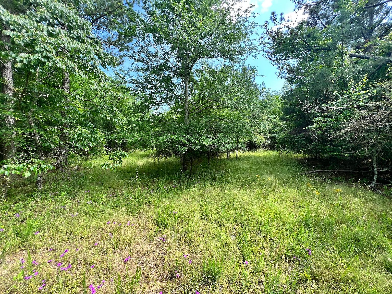 0 Veribest Enterprise Rd LOT WP001, Carlton, GA 30627 Zillow