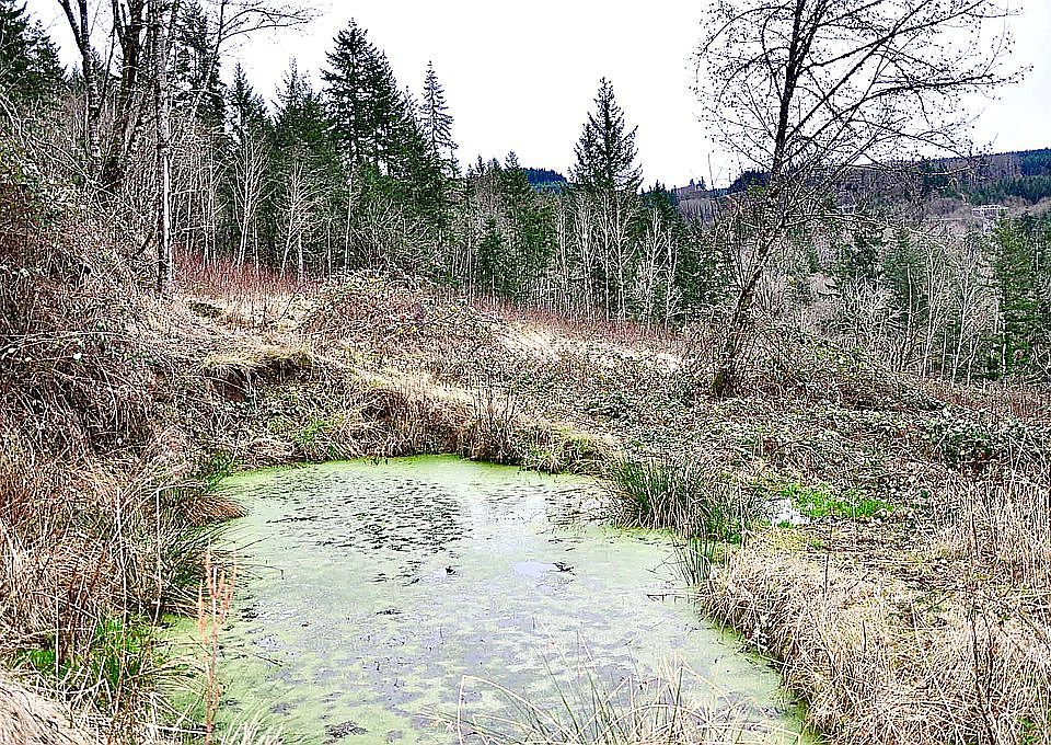 2nd image of 470 Italian Creek Rd
