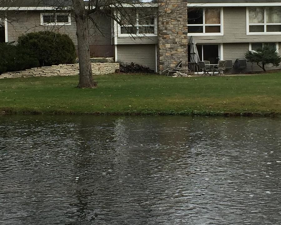 taken from other side of creek
