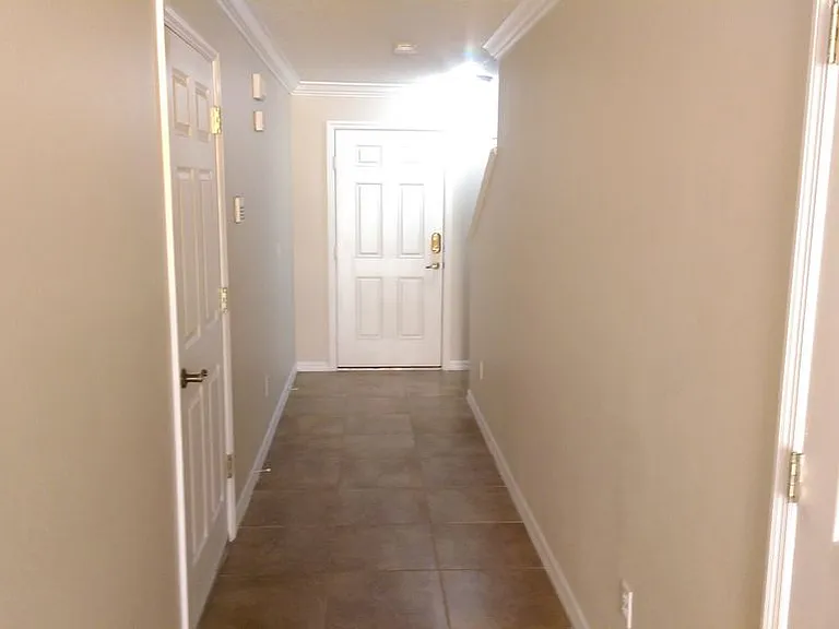4626 Lacebark Trl — Photo 9