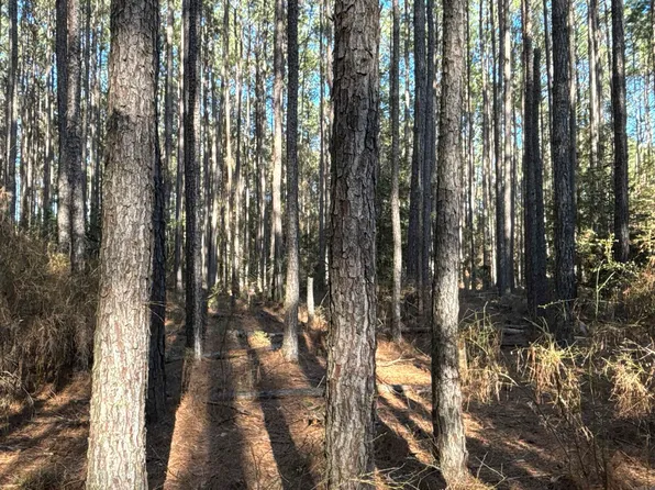 1 W Dallas County Line, Sparkman, AR 71763