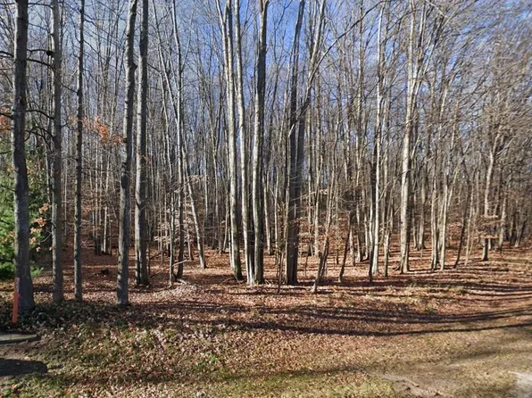 1152 Michaywe Dr, Gaylord, MI 49735