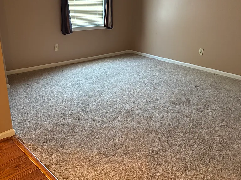 1105 Canyon Ct — Photo 11