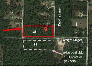 Wright Ave, Labelle, FL 33935