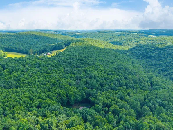 Mendenhall Hill Rd, Benton, PA 17814