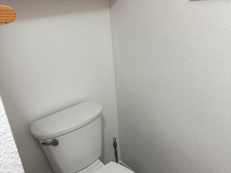 Toilet and Storage Cupboard in Master