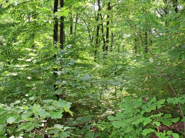 25 Day Lily Rd, Landrum, SC 29356