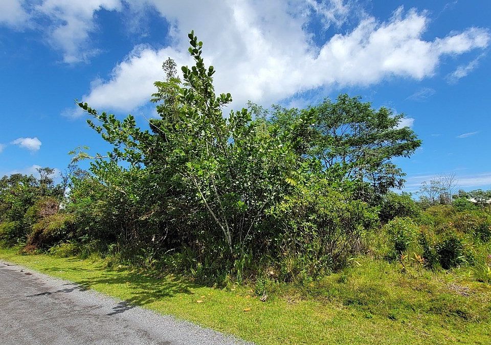 1st image of 13th Avenue Kukui