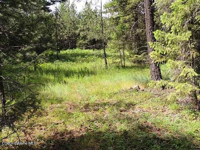 1st image of Nka Antler Ln